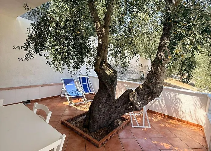 Vignanotica Beach Apartments